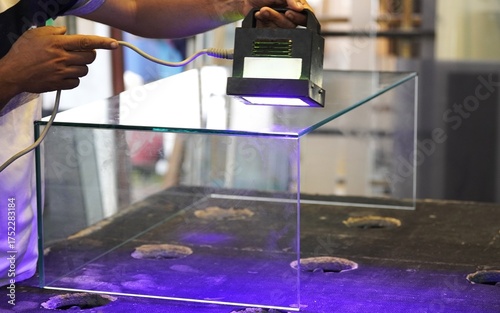 A UV lamp for curing glue. Glue on a seam of a custom-made glass item, likely an aquarium or display case.
