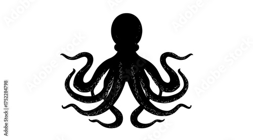 a black and white silhouette of an octopus with intricate tentaclesblack, octopus, white 