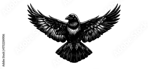 a black and white drawing of a raven in flightbeak, bird, black, crow, eagle, flap, fly, illustration, raven, spread, wing 