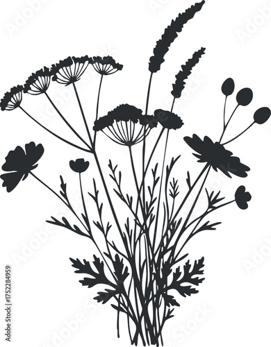 A beautiful silhouette illustration of various wildflowers and plants in a decorative arrangement.