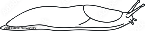 A minimalist line art illustration of a snail showcasing its unique shape and features.