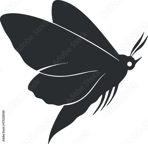 A minimalist silhouette of a moth with elegant wings representing nature and wildlife.