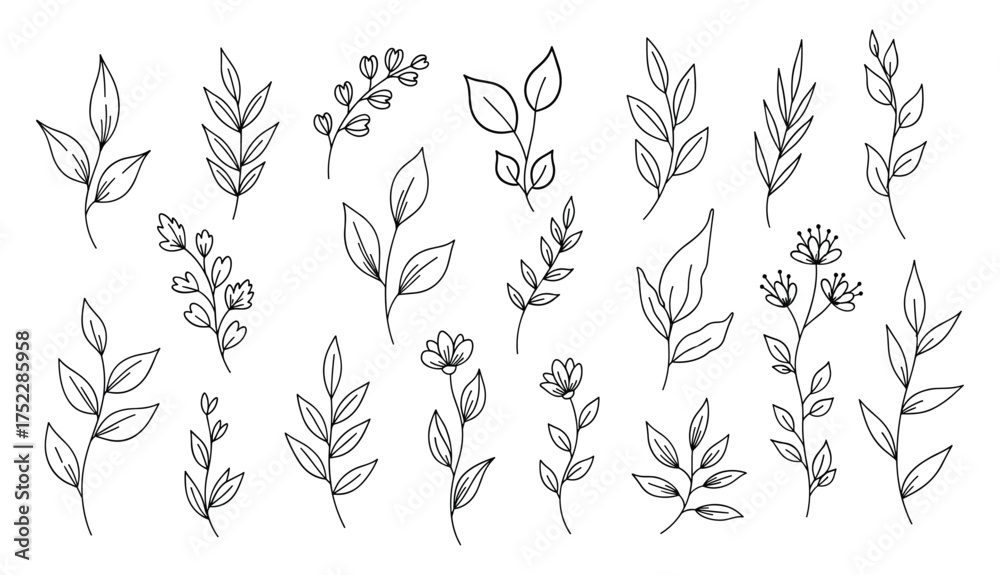 Fototapeta premium Collection of black line art botanical elements and floral sprigs on white background leaf leaves