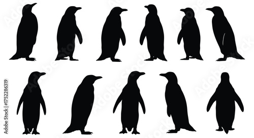 A collection of penguin silhouettes displaying various walking poses and forms