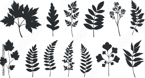 A collection of black silhouettes of various leaves showcasing diverse botanical designs.