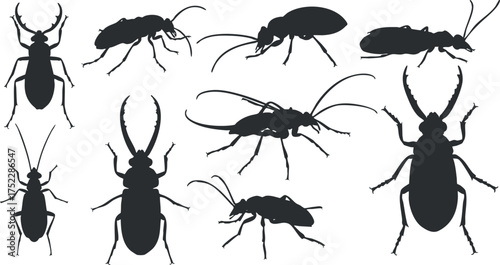 Collection of insect silhouettes including ants, cockroaches, and beetles for educational or design purposes.