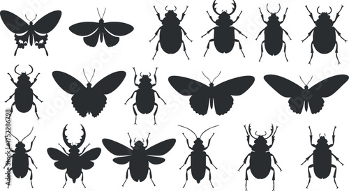 Silhouettes of various insects including beetles and moths on a white background.