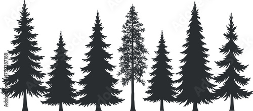 Silhouette of various tall evergreen trees creating a natural forest scene.