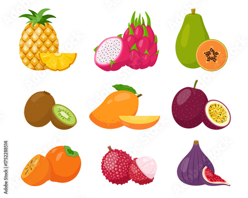 Big set of fresh exotic tropical fruit icons. Organic fruits with pieces for juice, smoothie or vitamin healthy food. Vector illustration isolated on white background.