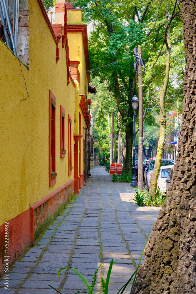 Fototapeta premium Red and Yellow Cultural Center Alongside Charming Shaded Street (Mexico City, Mexico)