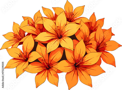 Orange marigold flowers close-up