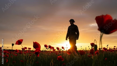 Soldier standing in a field of red poppies at sunset, silhouetted against a vibrant sky, symbolizing remembrance and honoring those who served in the military