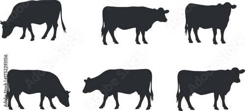 Silhouettes of different cows illustrating various poses in a farm setting.