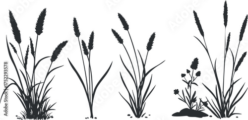 Silhouettes of various grass and plant types showcasing natural growth stages in a minimalist style.