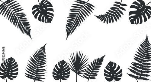 Black and white pattern featuring various tropical leaves and ferns for decorative use.