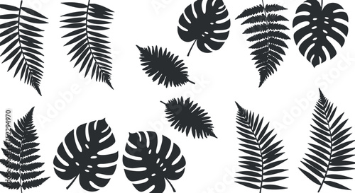 A collection of black silhouettes of tropical leaves and ferns on a white background.