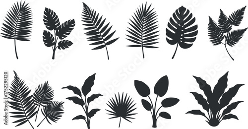 A collection of black silhouette leaves showcasing various tropical plants and foliage designs.