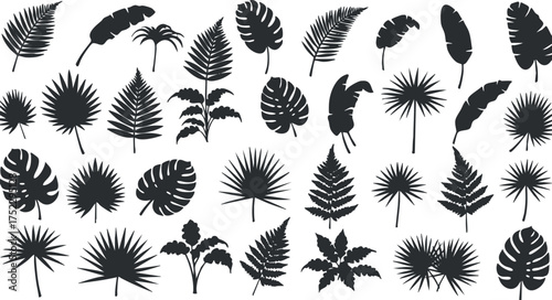 A collection of various leaf silhouettes showcasing tropical and botanical designs for artistic use.