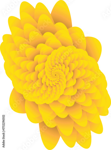 A vibrant yellow flower with intricate petal arrangements, showcasing the beauty of nature's patterns