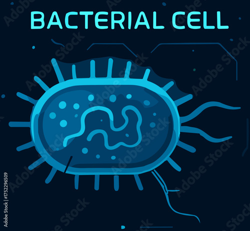A futuristic vector illustration of a bacterial cell glowing in neon blue tones, showing detailed internal structure and flagella on a dark digital background.