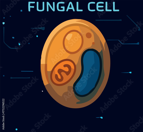 A flat vector illustration of a fungal cell in warm orange and blue tones, designed with a modern futuristic style on a dark digital background for educational and scientific use.