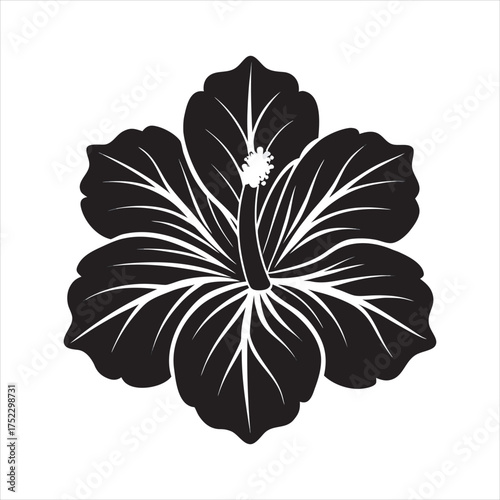 Bold black hibiscus flower silhouette with delicate petal lines for tropical design vector
