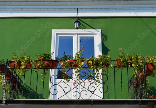 green facade and flowers on the terrace