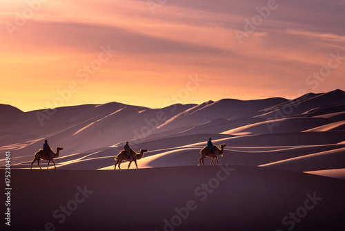 The Bactrian camel, also known as the Mongolian camel, is a large even-toed ungulate native to the steppes of Central Asia. It has two humps on its back, in contrast to the single
