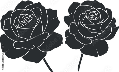 Stylized black and white illustration of two elegant roses with detailed petals and leaves.