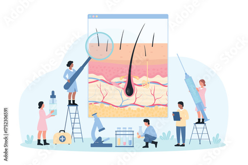 Scalp and hair examination, trichology and dermatology vector illustration. Cartoon tiny doctors with magnifying glass research skin anatomy infographic chart, hair loss treatment by dermatologists