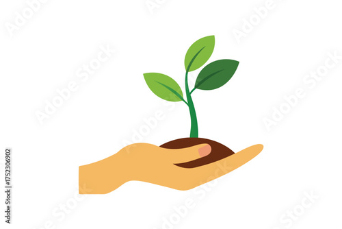 Person s hand gently holding a young olive tree sprout with roots
