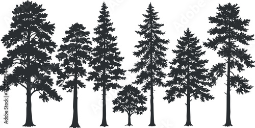 Silhouette of various tree species showcasing their unique shapes and heights.
