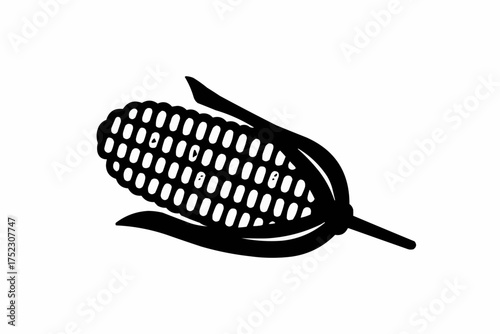 Fresh fish in a basket with raw organic sweet corn, green leaf, and yellow maize is healthy food
