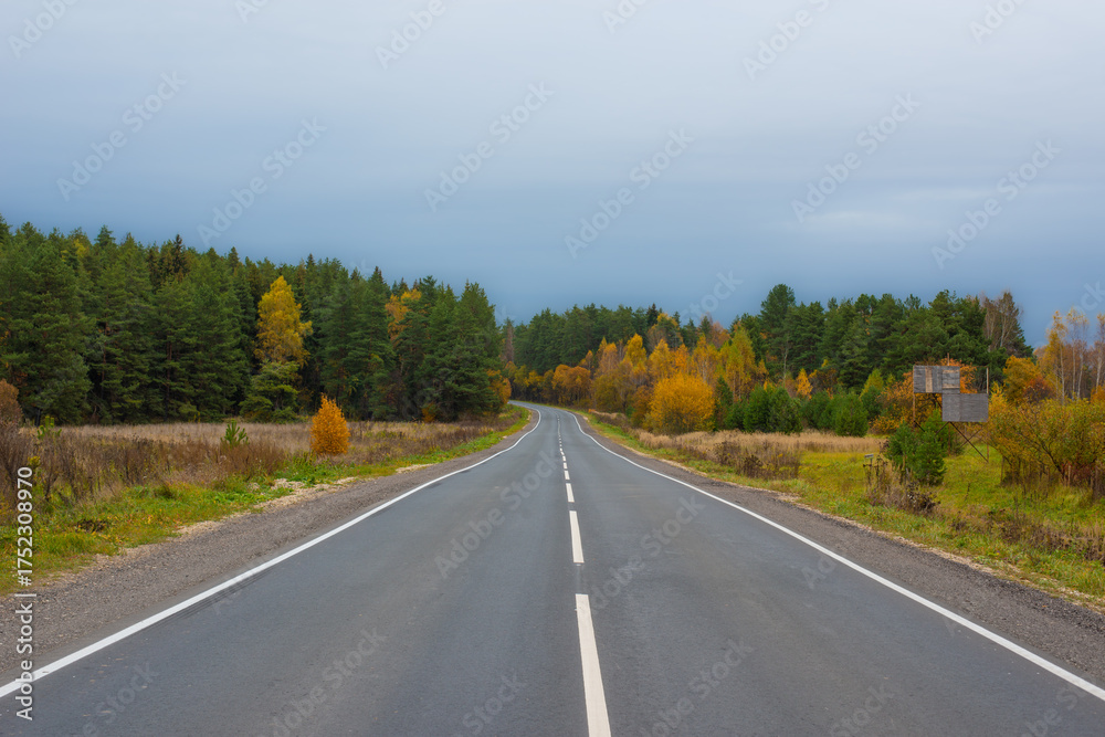 Fototapeta premium Autumn landscape, asphalt road stretching into autumn bright forest. A forest consisting of green pines and deciduous trees with yellow leaves. High quality photo