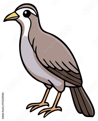 Cartoon illustration of a quail with gray feathers and yellow beak standing