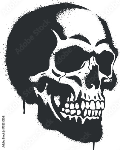 Stylized black and white skull illustration with detailed features and a dark artistic flair
