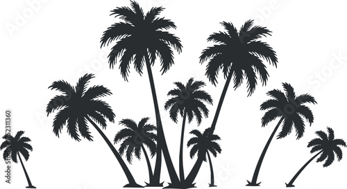Silhouette of palm trees against a light background ideal for tropical or beach designs.