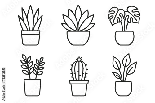 Simple line drawings of various potted plants with minimalist style
