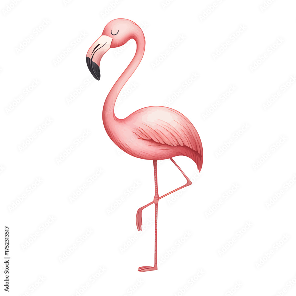 Fototapeta premium Graceful pink flamingo standing in elegant watercolor art. Minimal flamingo watercolor clipart for nursery and decor.