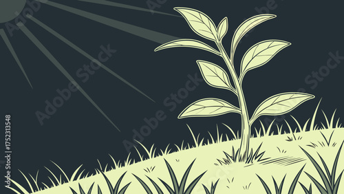 A young plant reaching toward the morning sun in a peaceful field.dark background  vector illustration 