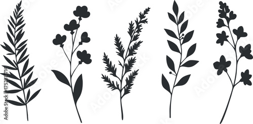 A collection of various floral silhouettes showcasing different plants and leaves for design.