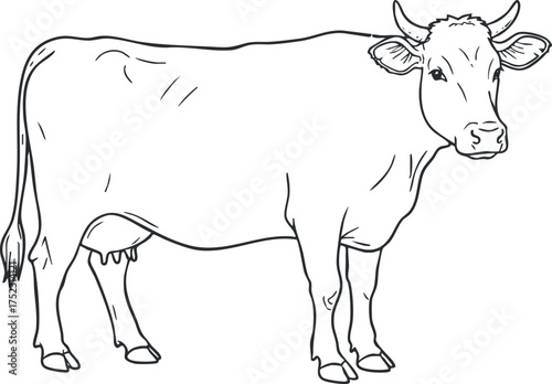 A simple line art illustration of a cow standing on a farm background.