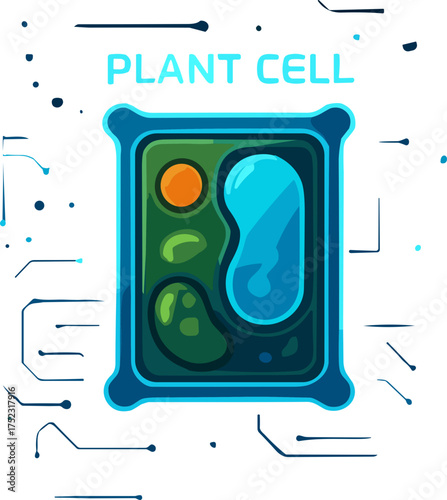 A flat vector illustration of a plant cell featuring detailed organelles in green and blue hues, designed in a modern educational infographic style.