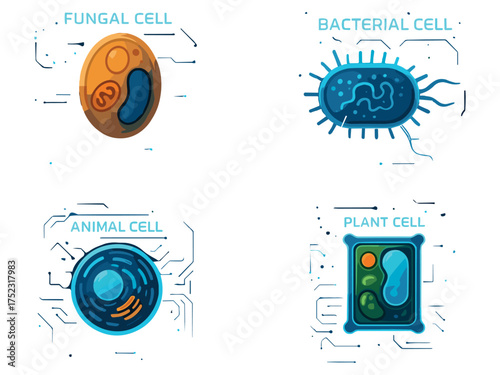 A modern educational illustration showing four types of cells—fungal, bacterial, animal, and plant—depicted in a vibrant vector style with glowing digital effects.