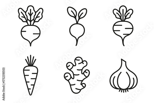 Vegetable icons: beetroot, radish, carrot, ginger, garlic in line art style