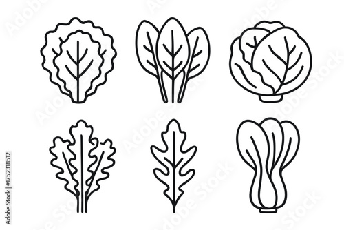 Outline illustrations of various leafy green vegetables