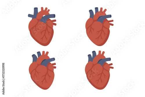 Four stylized human hearts with veins and arteries