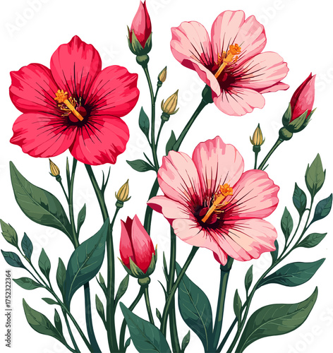 Pink hibiscus flowers with green leaves and soft petals
