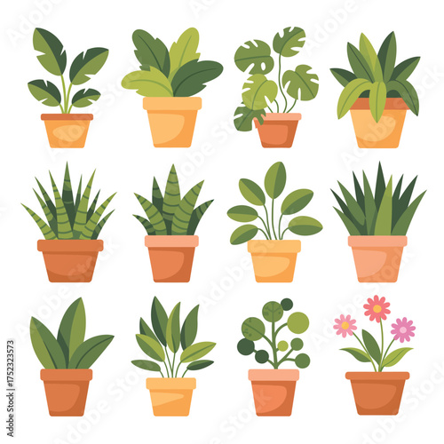 Collection of potted houseplants in terracotta pots with green leaves
