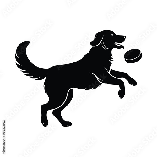 Golden retriever playing hockey mid air with puck